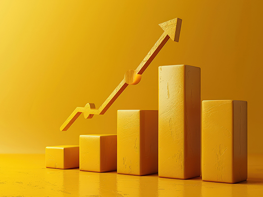 Custom Integration Image